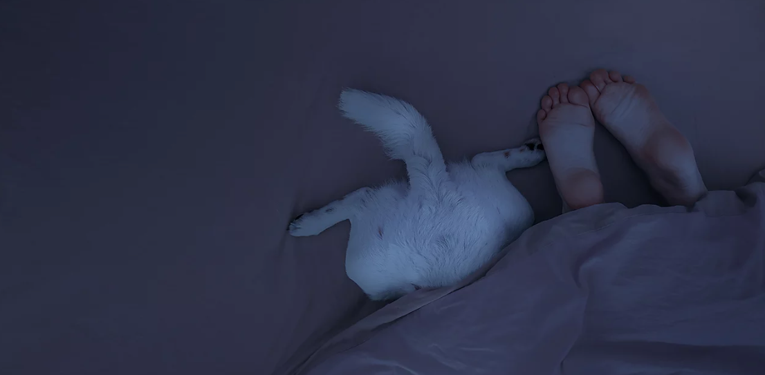 Lights off and sleep tight.