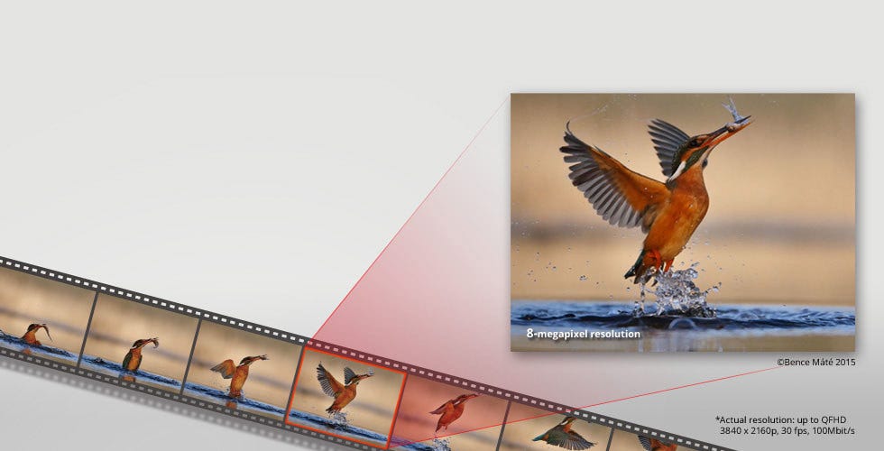 4K PHOTO Function — Never Miss That Perfect Moment.
