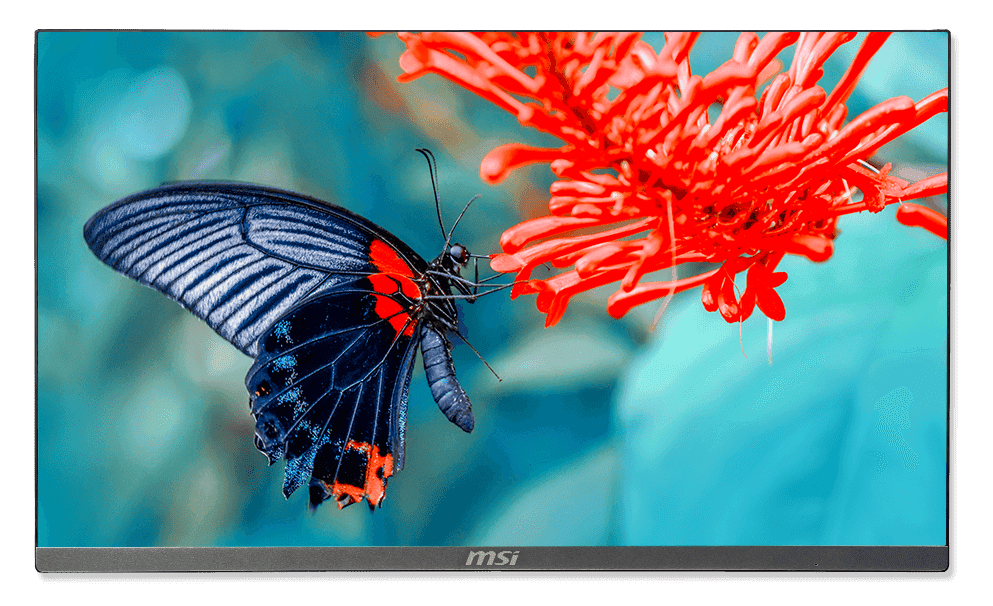 IPS Grade Panel With Narrow Bezel.