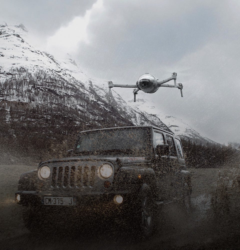 Fly in the Rain
