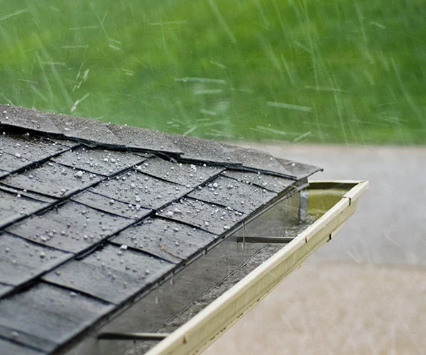 Monitor The Outdoors.