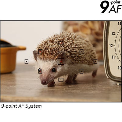 9-point AF System and AI Servo AF.