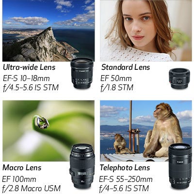 Compatible With All Canon EF & EF-S Lenses.