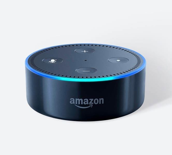 alexa voice operated digital art canvas