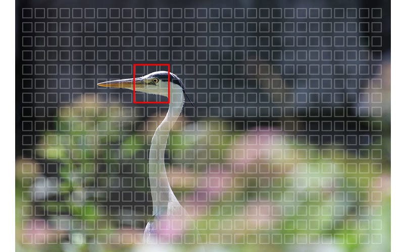 22622Full-Width-Focus-Point-3_23337.jpg