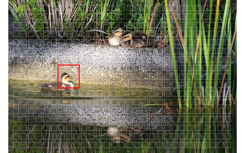 22624Full-Width-Focusing-3_22637.png