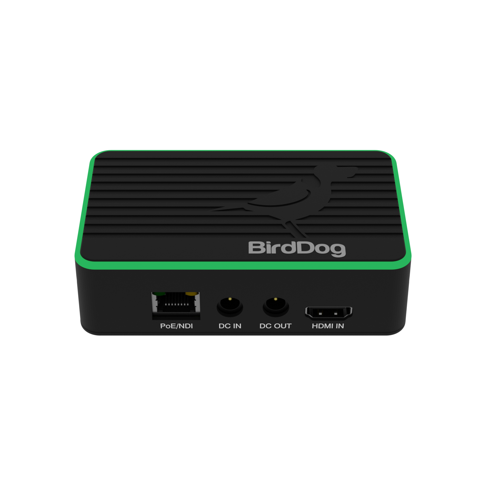 Birddog 4k