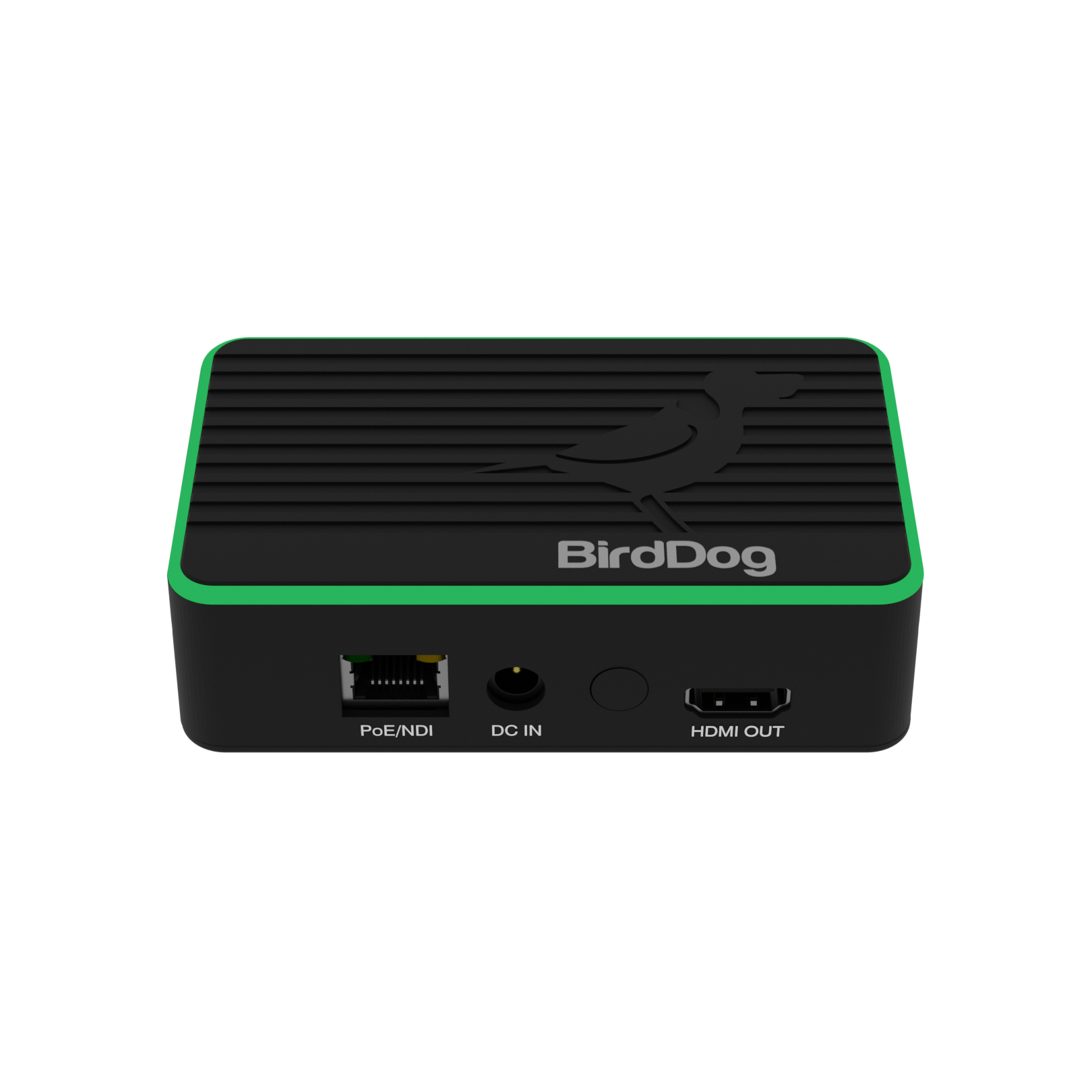 Birddog NDI Flex Out