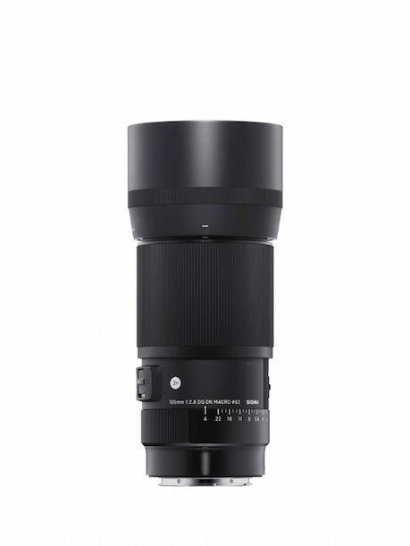 Sigma 105mm f/2.8 DG DN Macro Art Lens for Sony E 260965 - Adorama