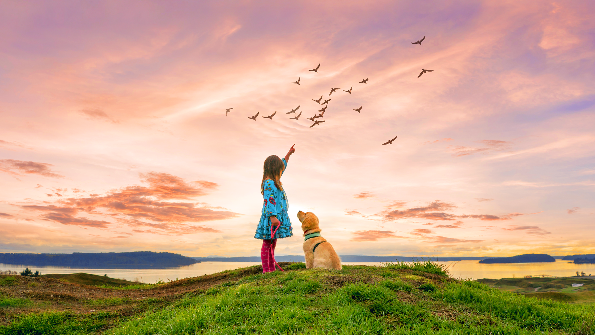 Adobe Photoshop Photo Editing Software