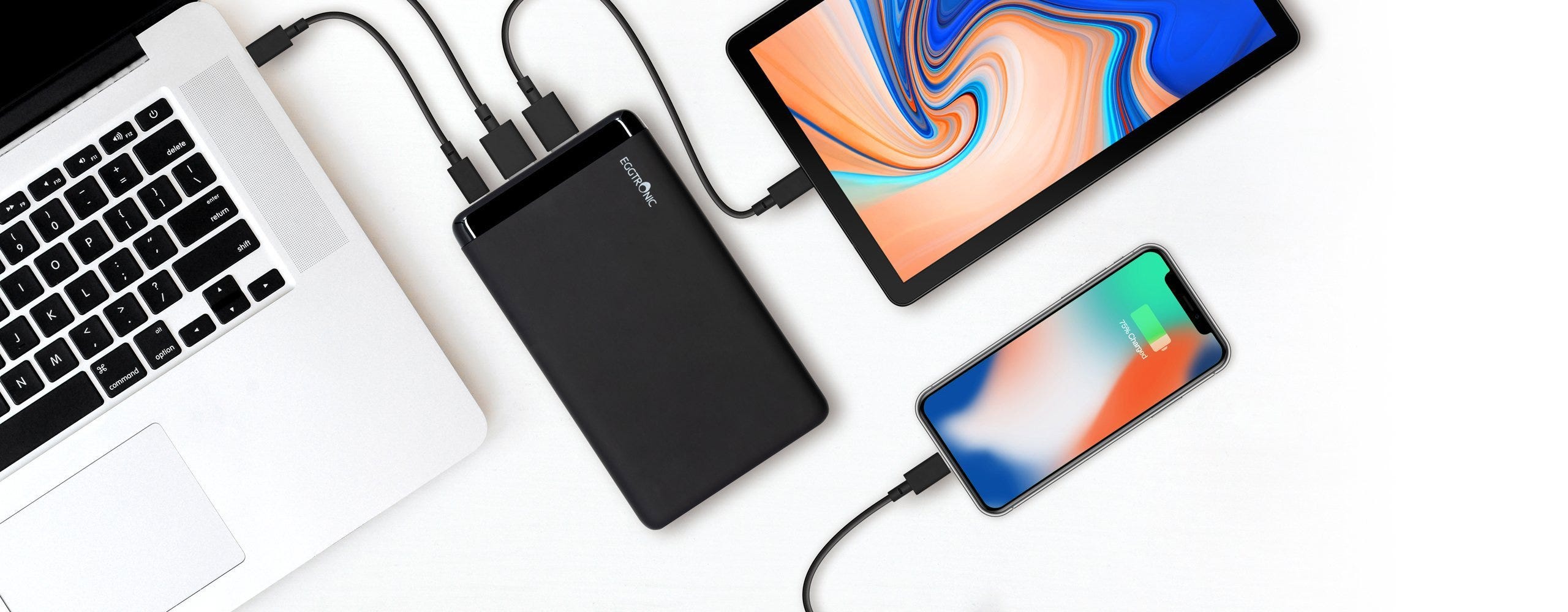 Universal Charger