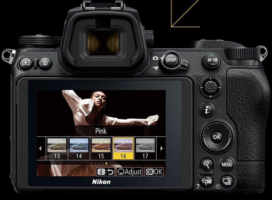 Nikon Z6 II Mirrorless Camera 20 25025creative-picture-controls_06105.jpg