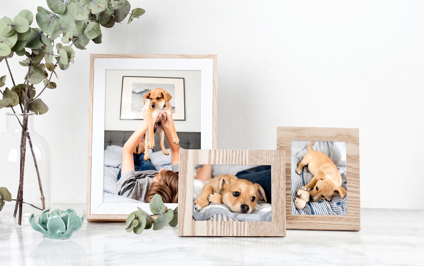 Professional Photo Printing and Framing