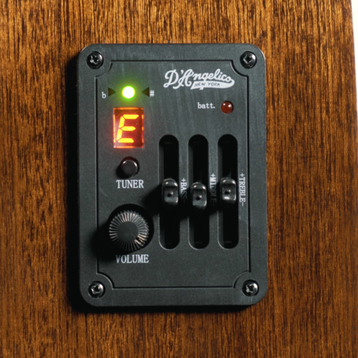 D'Angelico Preamp & Tuner.
