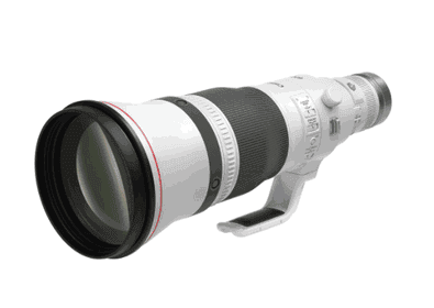 Canon RF600mm f/4 L IS USM