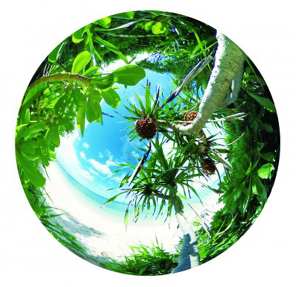 Ricoh Theta S