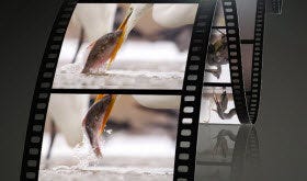 4K-Enabled video