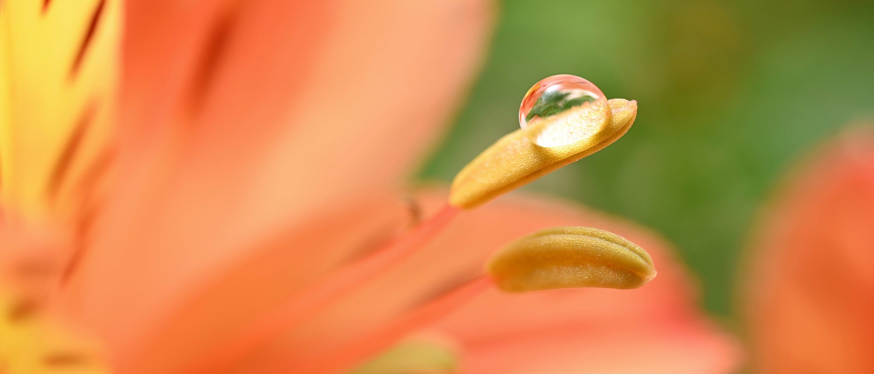 Up Close & Personal.