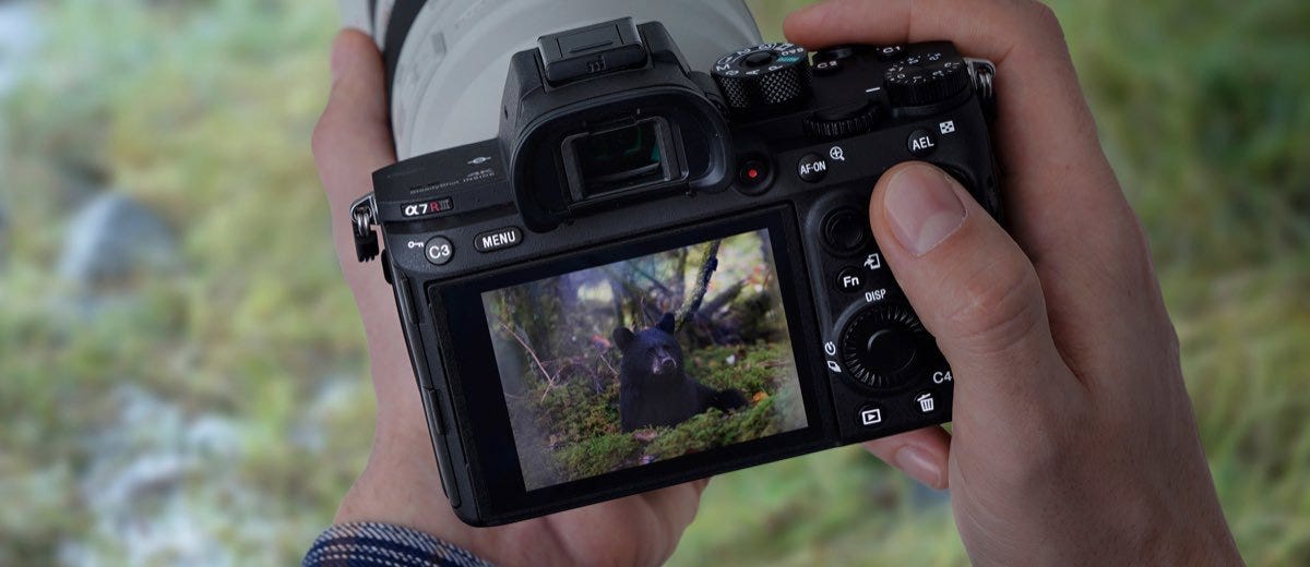 Sony Alpha a7R III Mirrorless Camera (V2) - Adorama