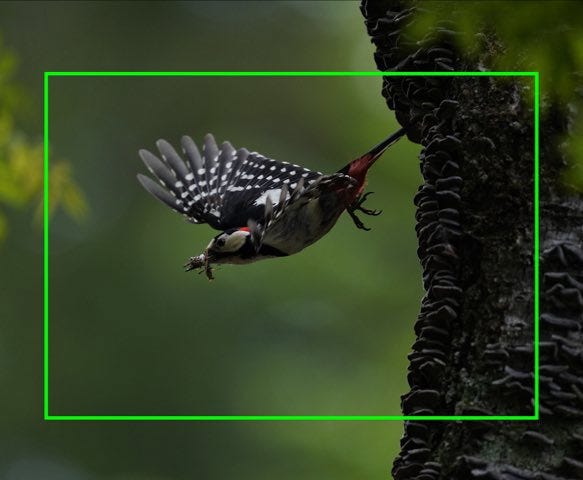 Useful 26.2 MP With APS-C Cropping.