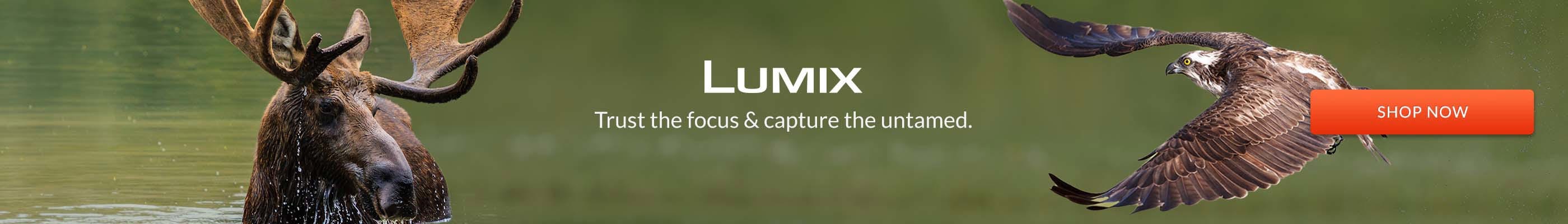 Panasonic
