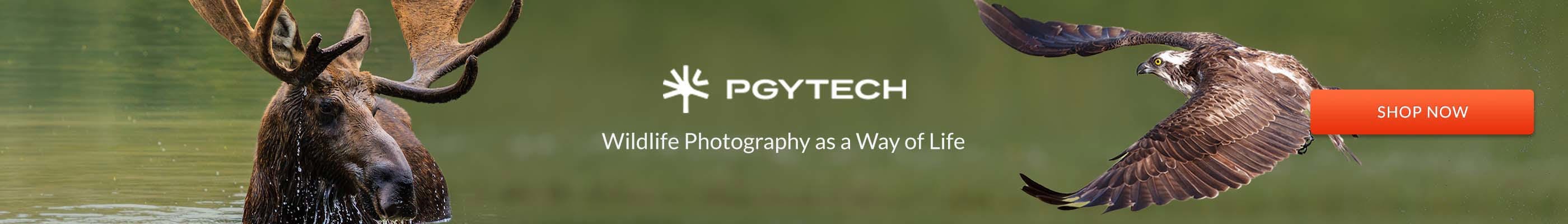 PGYTech