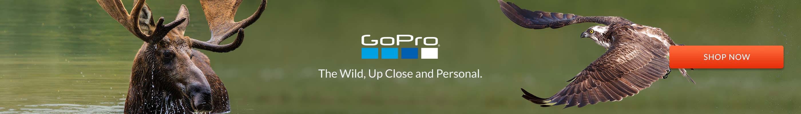 GoPro