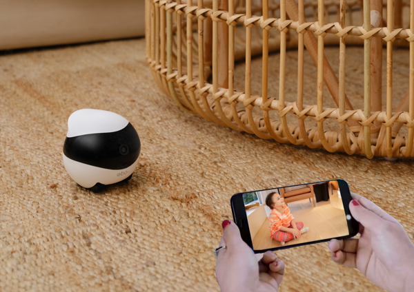 Remote Companionship.