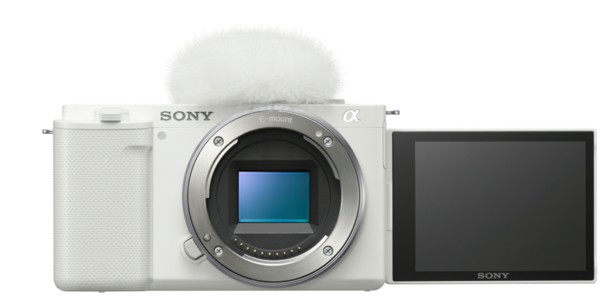 A Large Format Image Sensor For Professional Quality Images.
