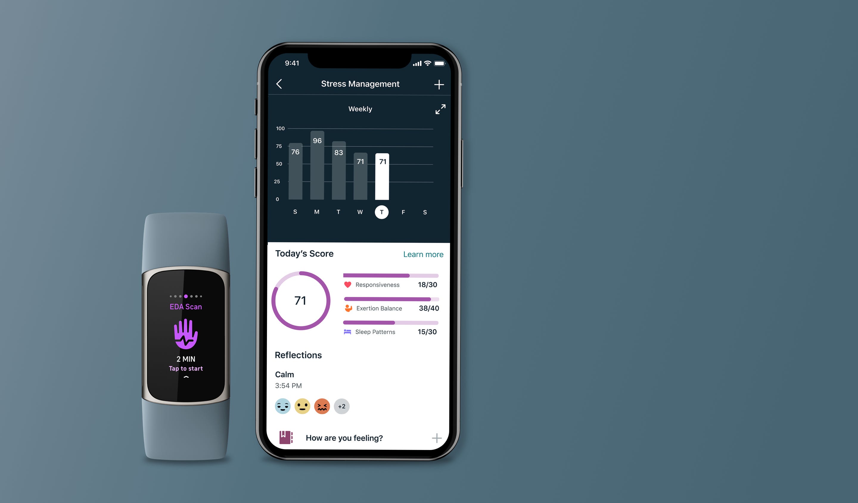 Fitbit ECG App.
