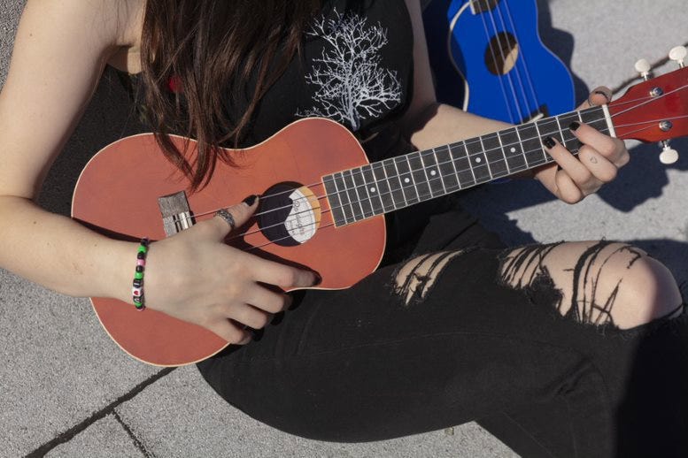 Boroughs Concert Ukulele Gig Bag