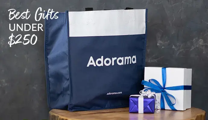 Best Gifts Under $250