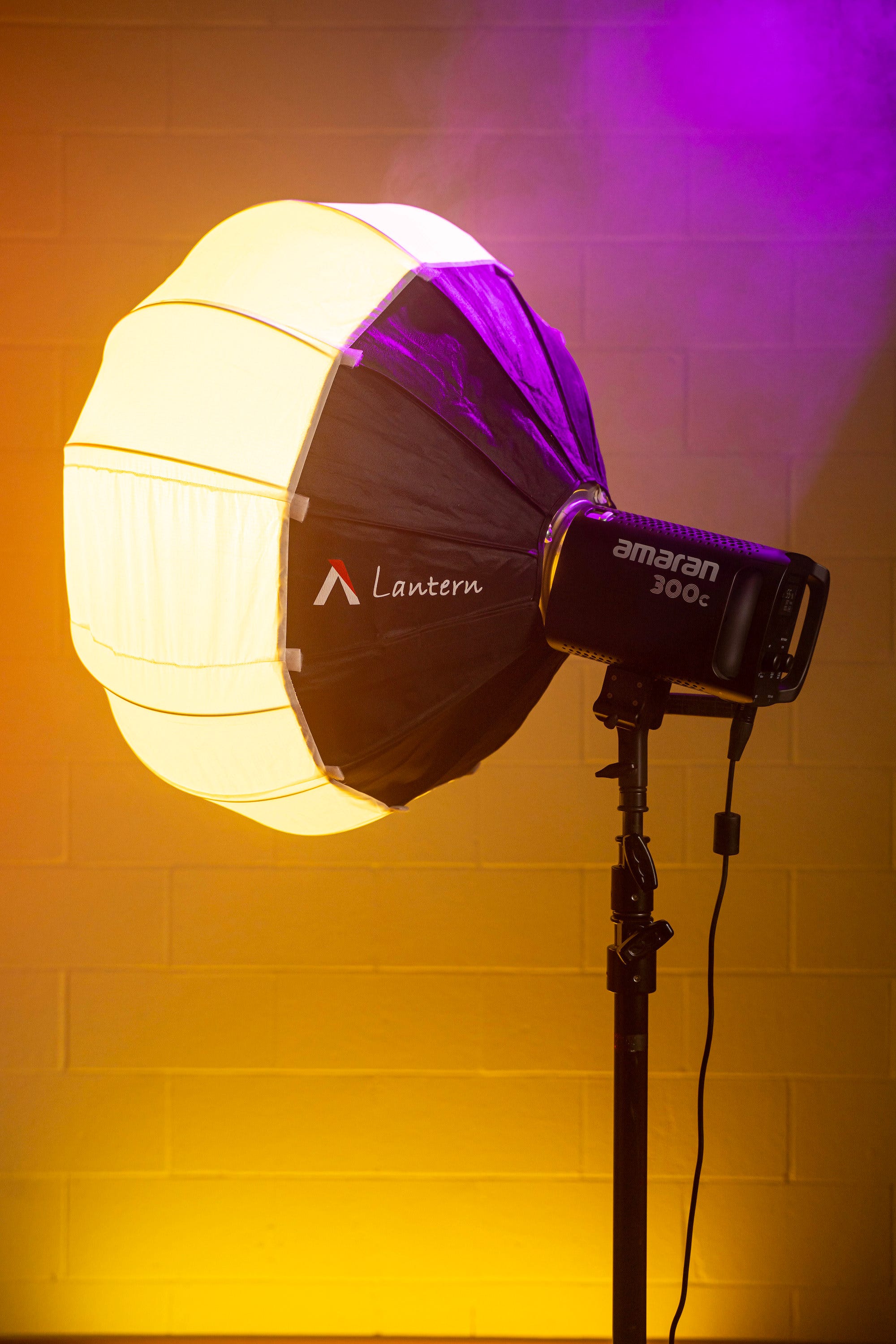 AP30010A10