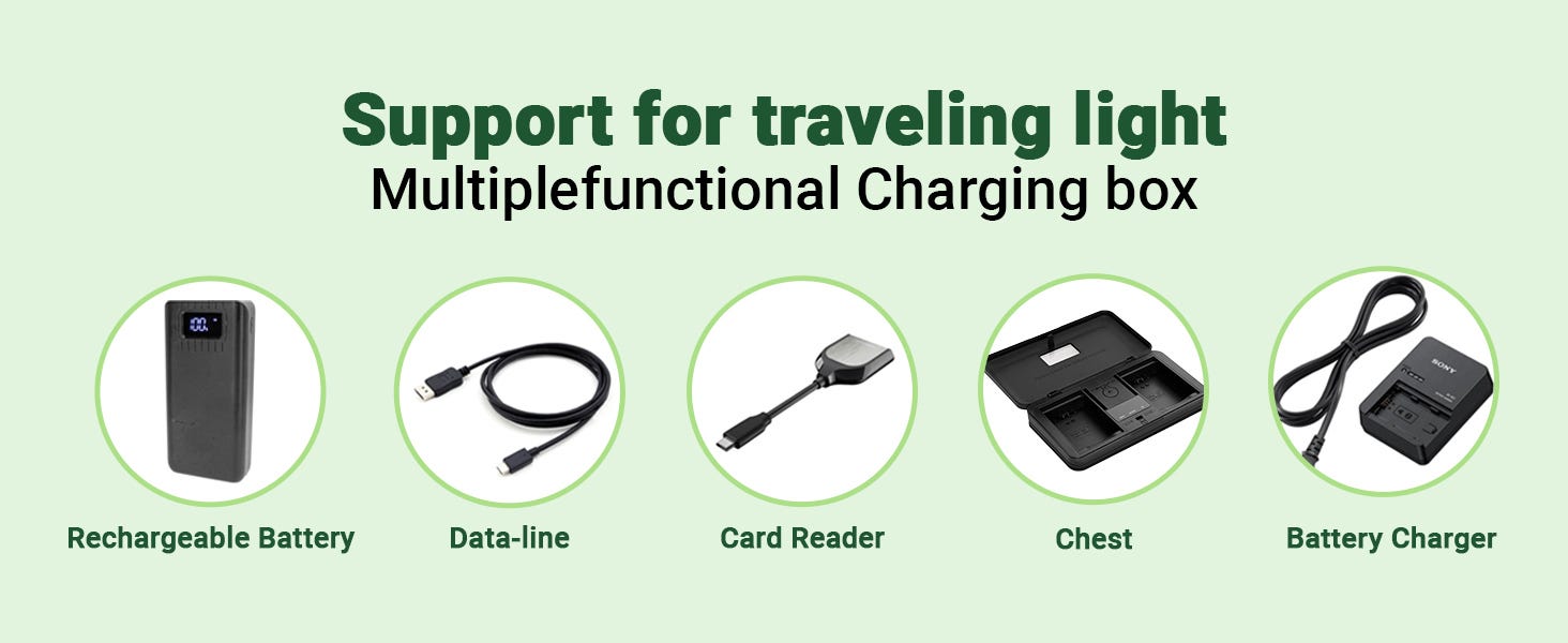 USB Dual Charger 