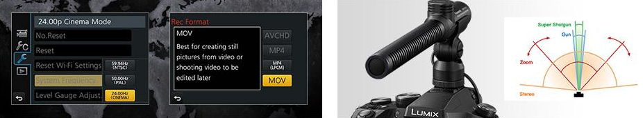 Global Video Formats
