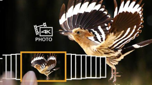 4K Photo