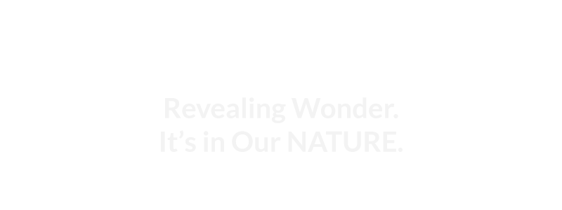 OM SYSTEM Revealing wonder. it’s in our NATURE.