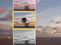 Raw File Processing
