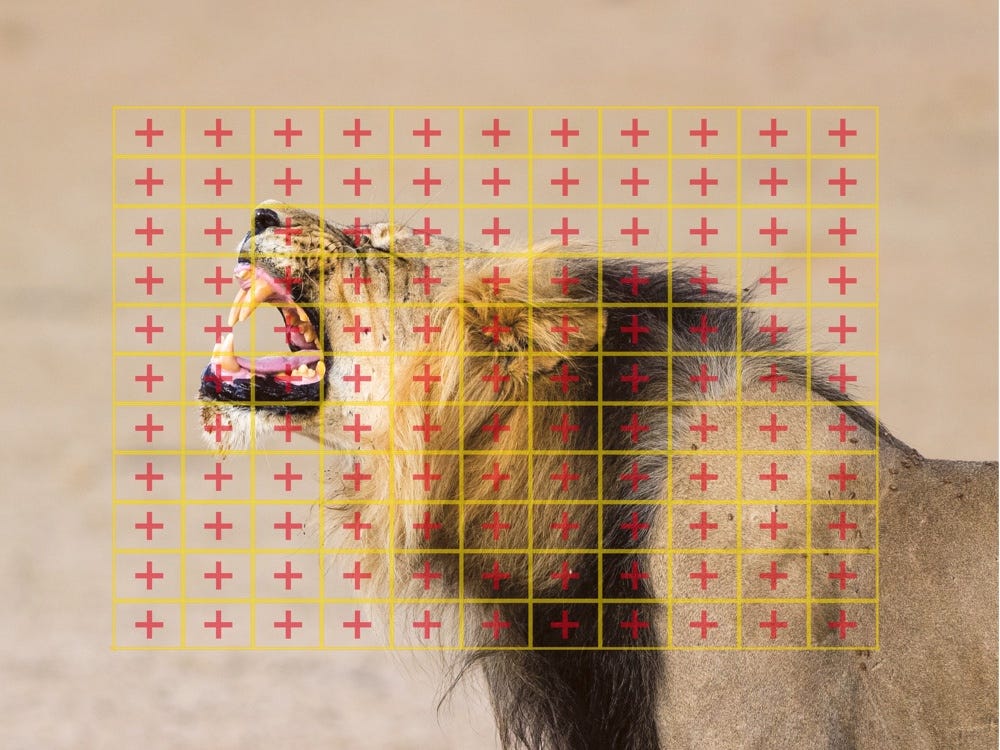 AF SPEED & ACCURACY