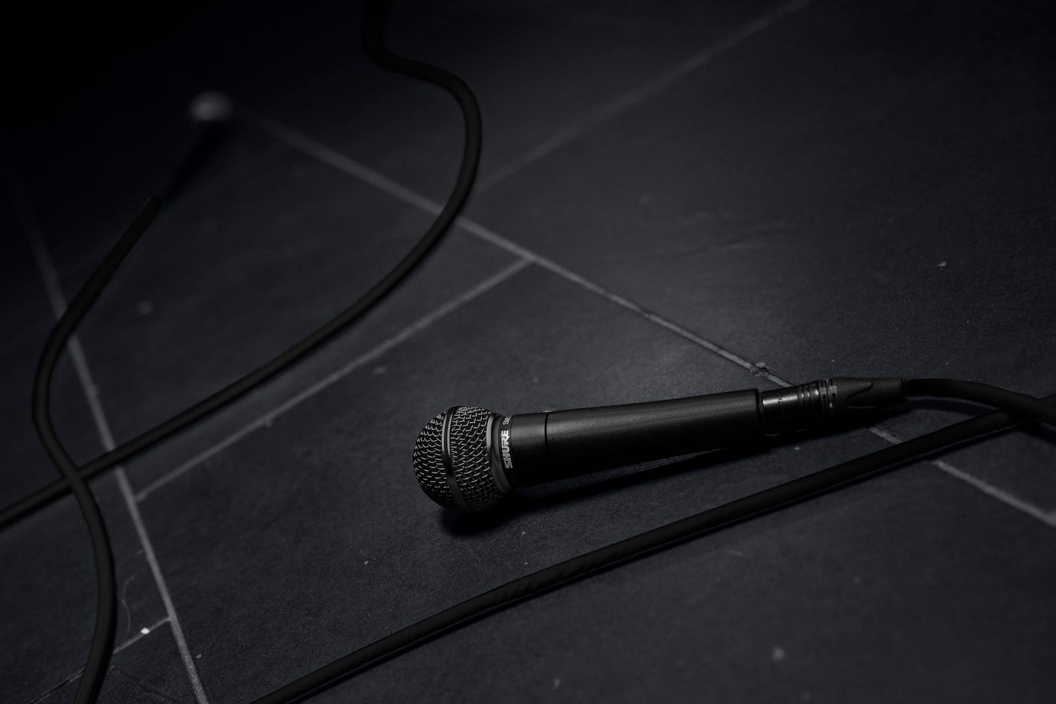 Shure SM58 Special Black Edition Cardioid Dynamic Handheld