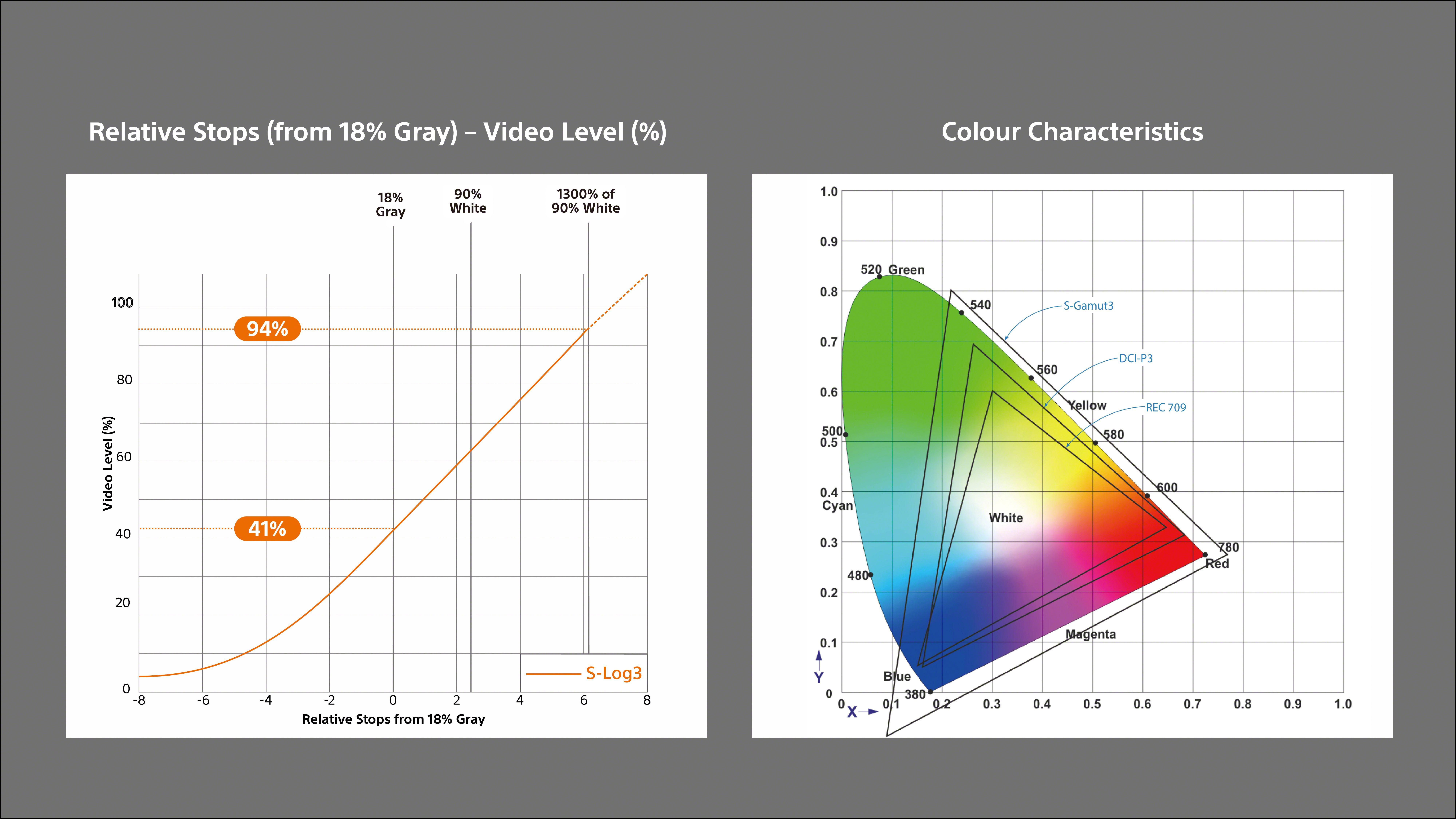 FX30 Picture Control