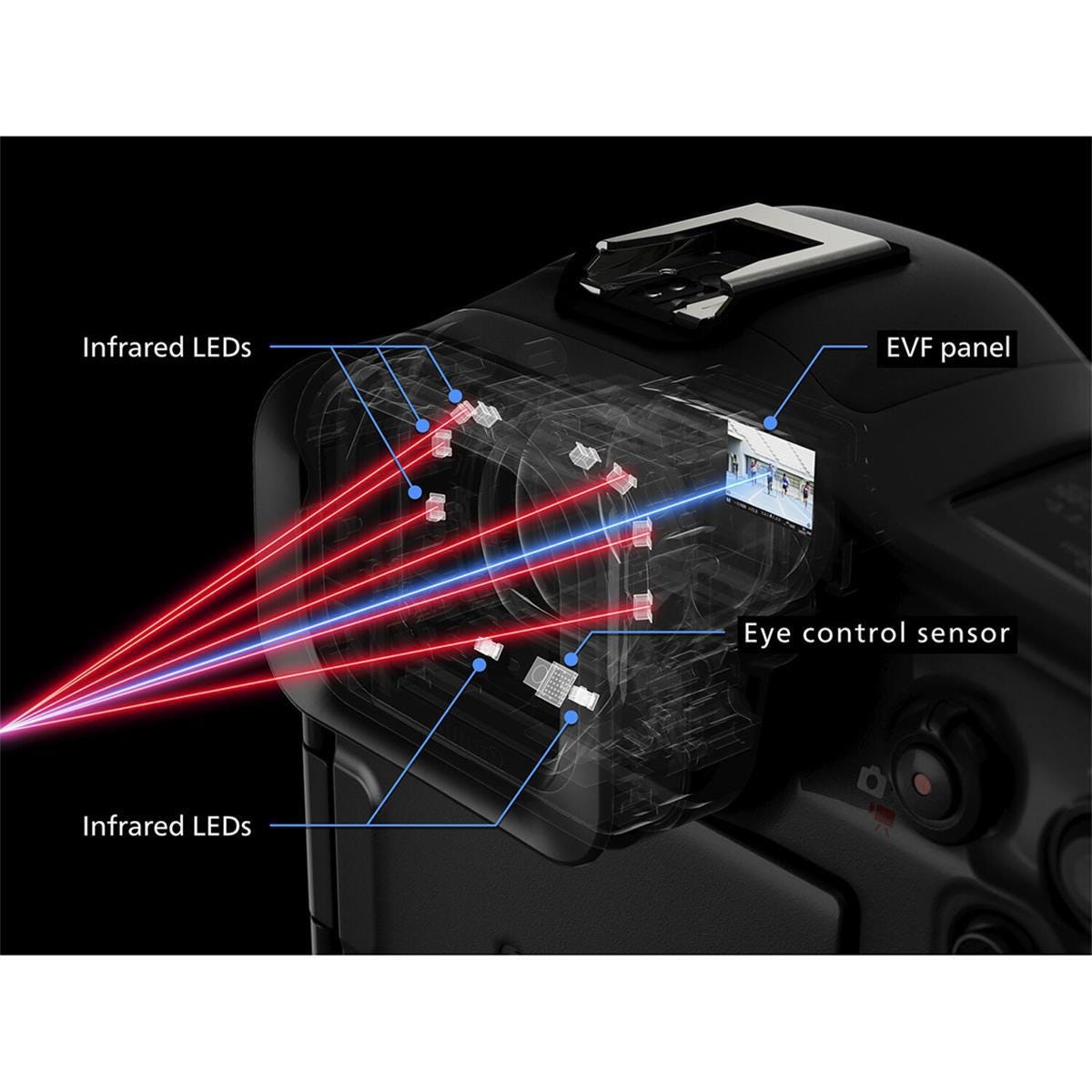 Superior Viewfinder and Storage Capabilities