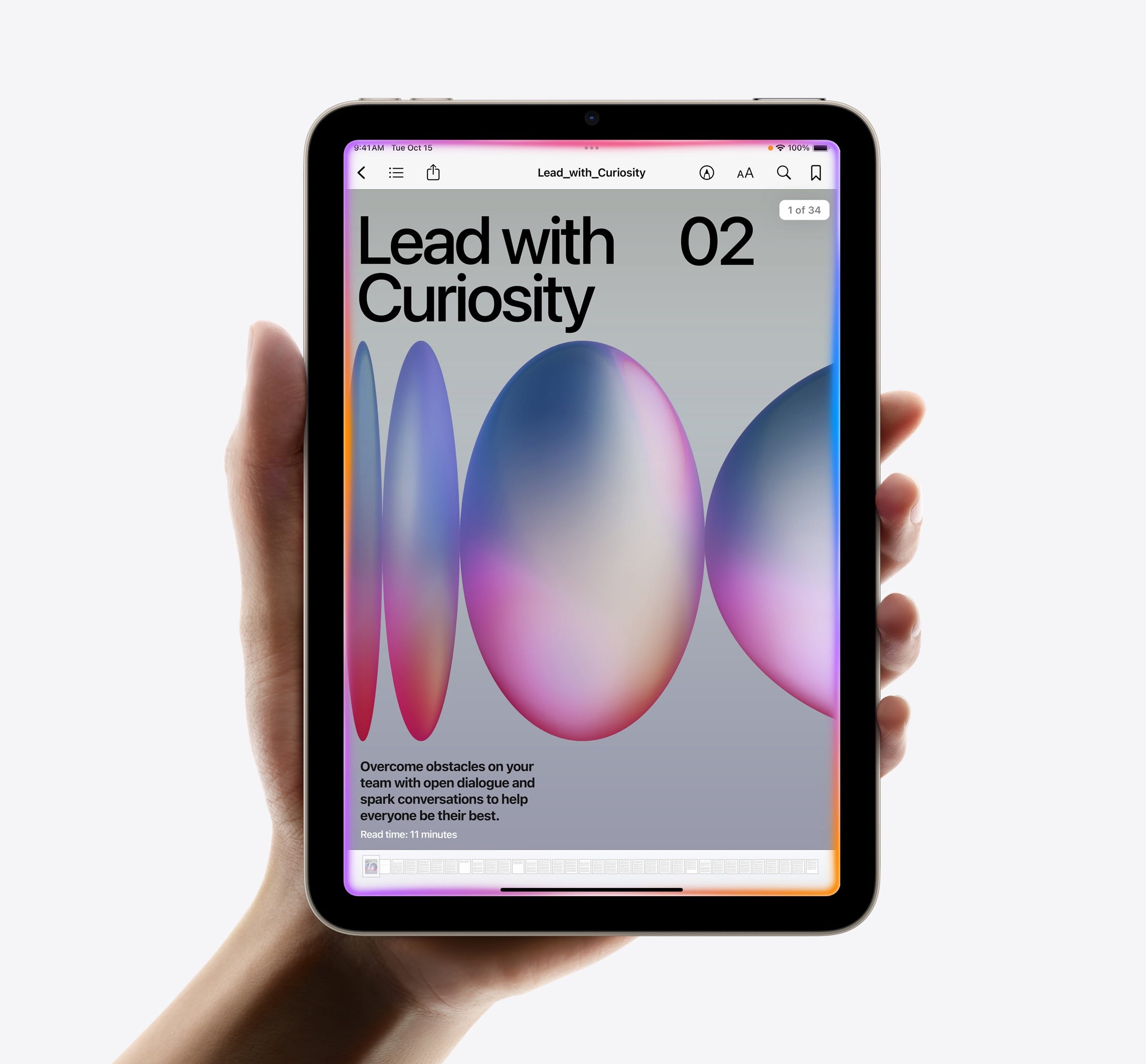 8.3-inch Liquid Retina Display