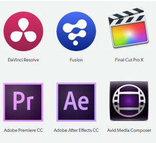 Works with Professional Software