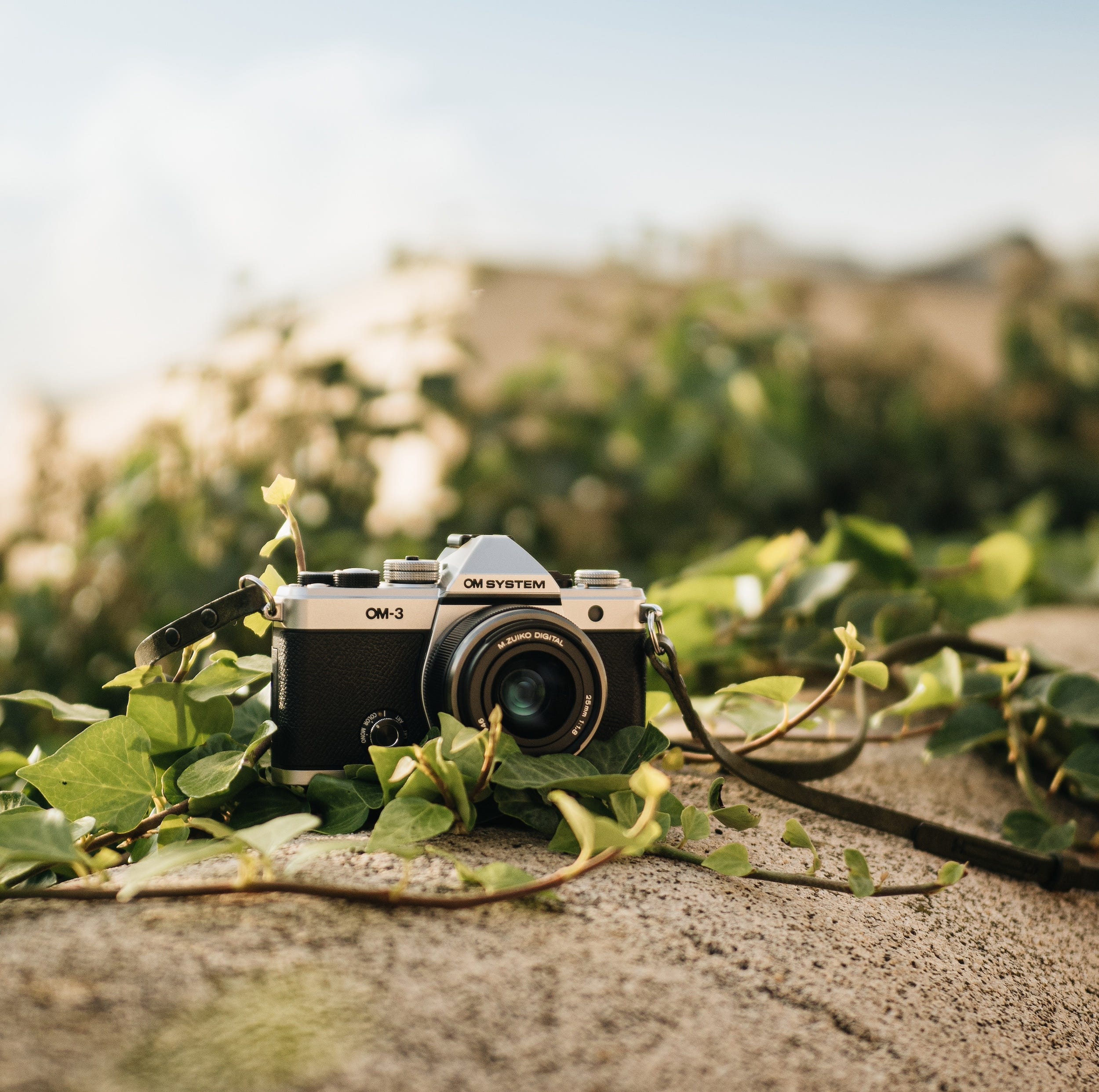 Fast f/1.8 aperture