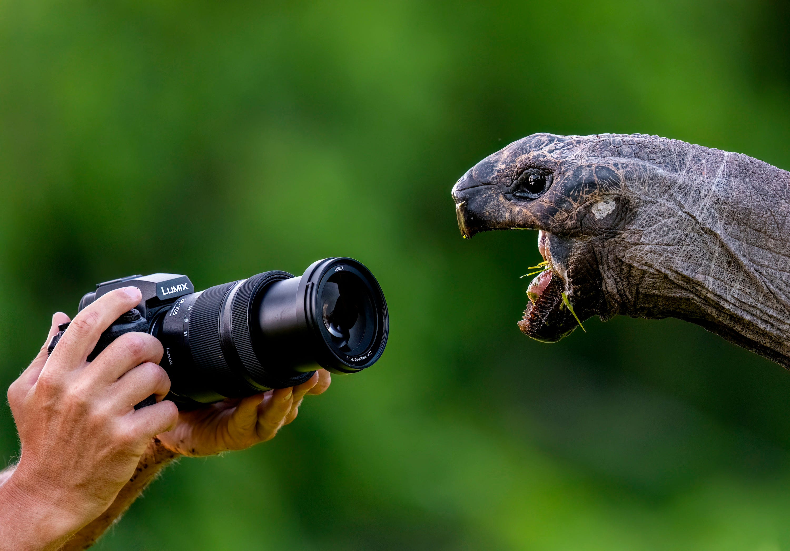 Panasonic LUMIX S1RII plays well with industry-leading software