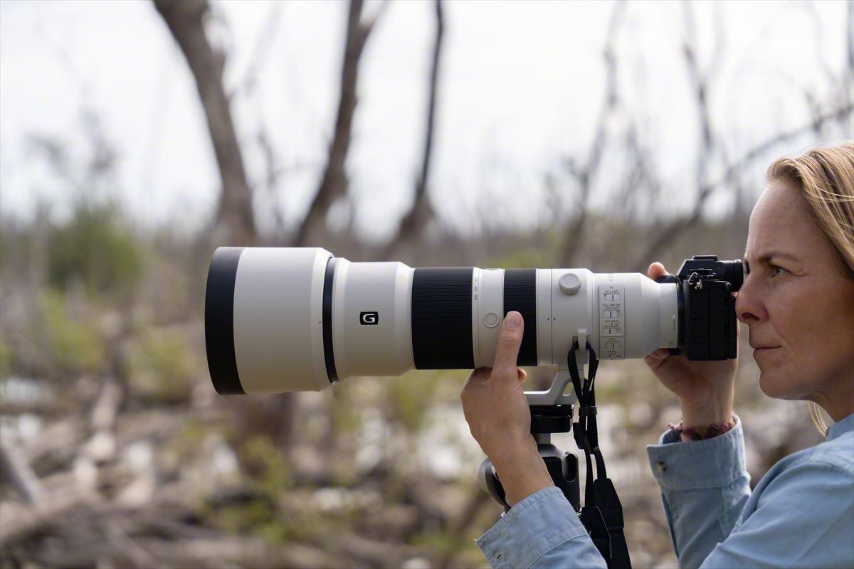 Sony FE 400-800mm lens makes shifts in focus more consistent and smooth