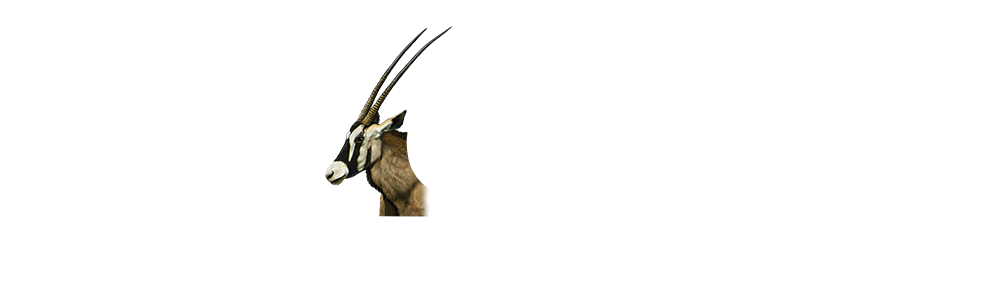 Adorama x Oryx Photo Tours