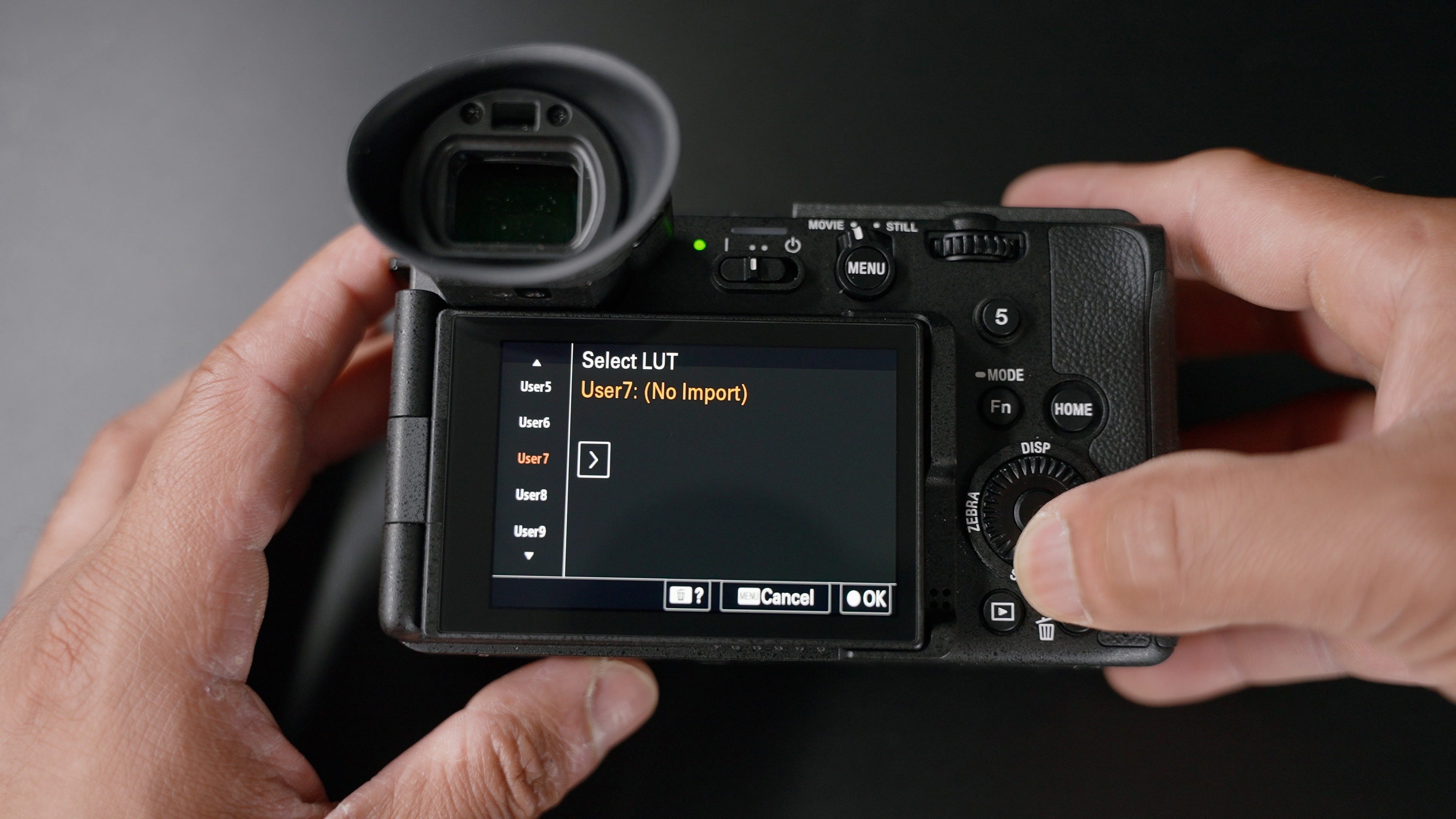 FX2 Sony Full Frame