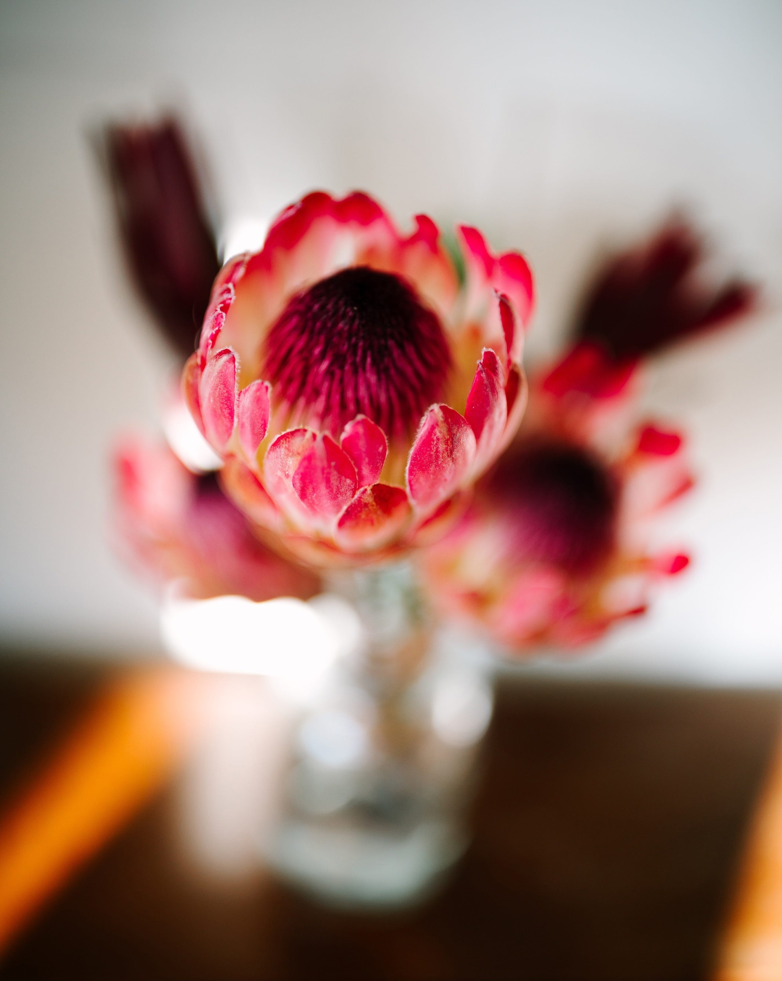 Sigma 35mm F1.2 DG II HLA